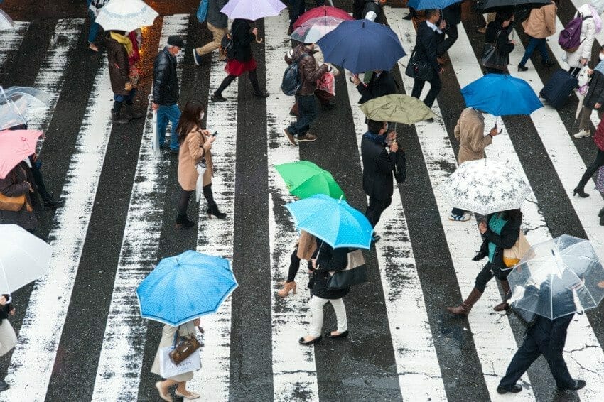 Must-Haves for Stormy Workdays