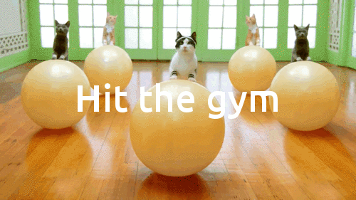 Hit the gym