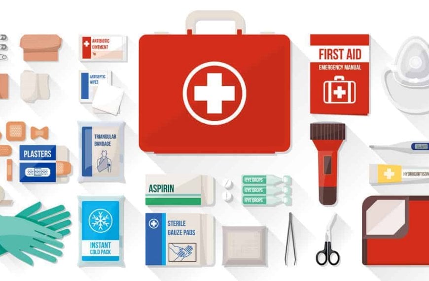 A first aid kit, essential for survival, is showcased on a white background.