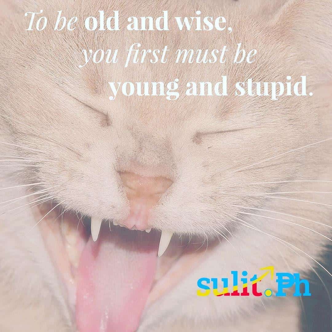 To attain wisdom, one must embrace youthful foolishness.