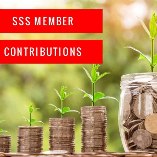 Online inquiry for SSS member contributions.