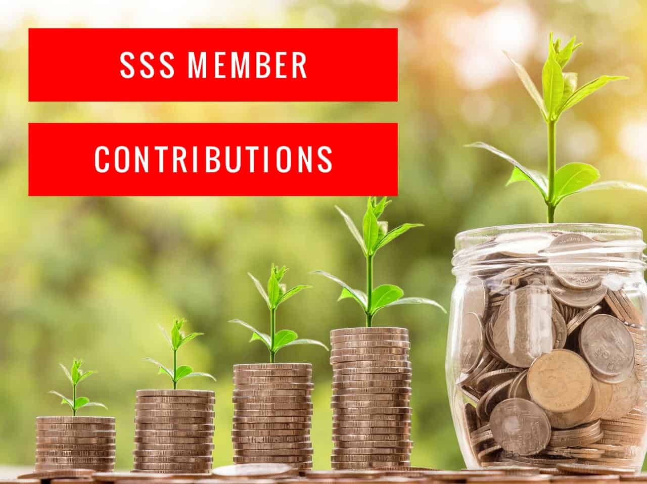Online inquiry for SSS member contributions.