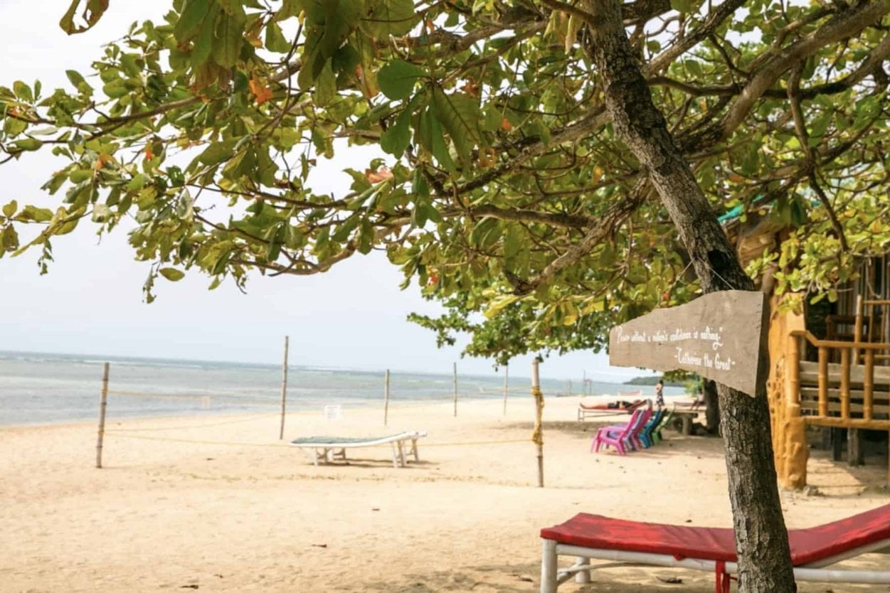 Tree with hanging sign, red lounge chairs, and a sandy beach with calm ocean waves in the background.
