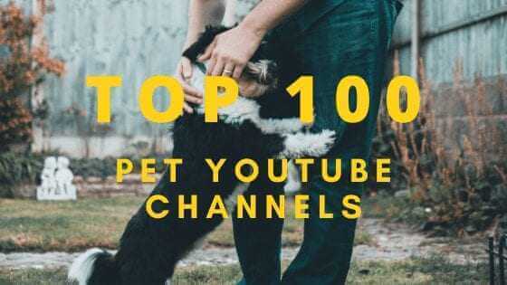top pet youtube channels 2020