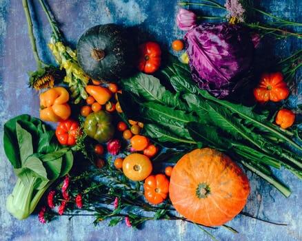 Fruits N Veggies