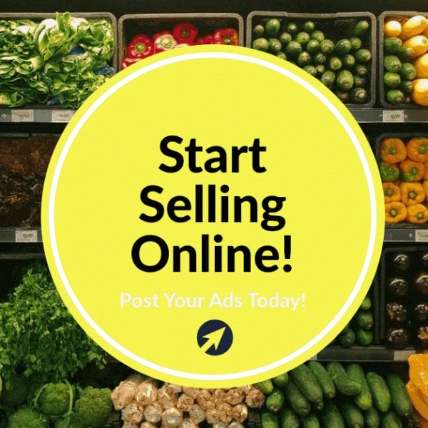 Start selling online and get your store found online.