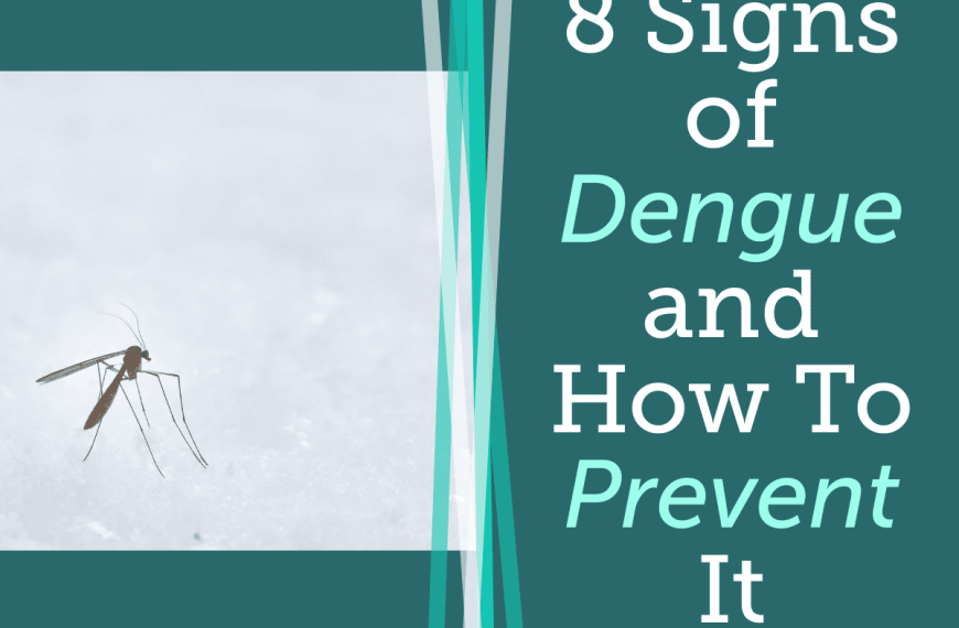 Steps to prevent and identify 8 signs of dengue.