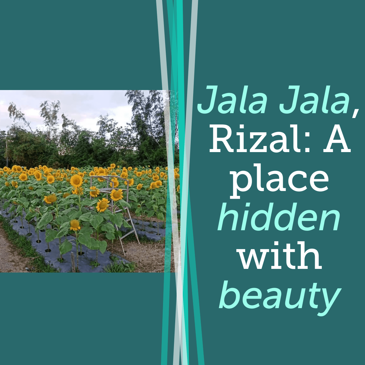 A hidden place of beauty in Jala Jala, Rizal in the Philippines.