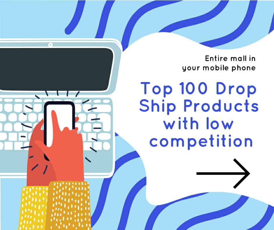 top 100 drop ship products