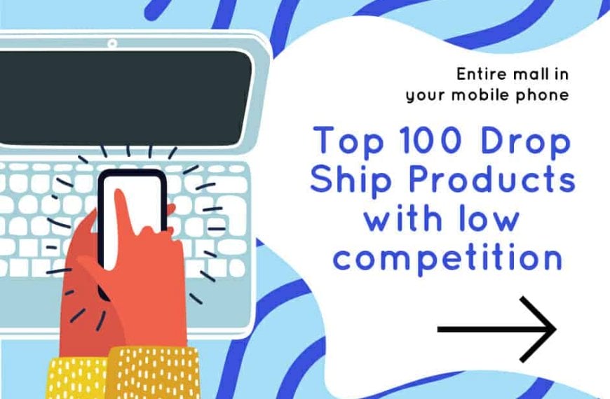 top 100 drop ship products