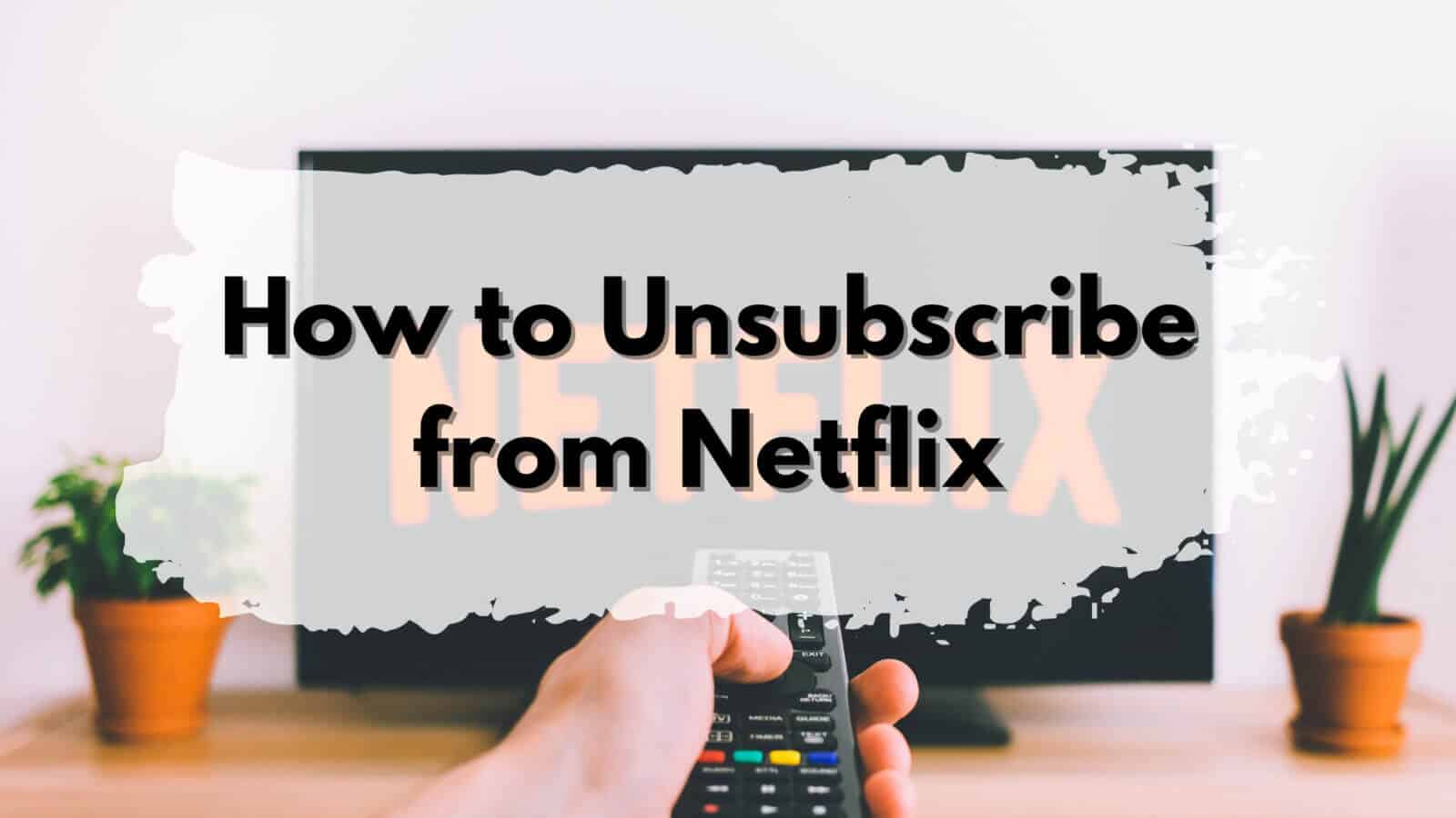 Netflix, unsubscribe