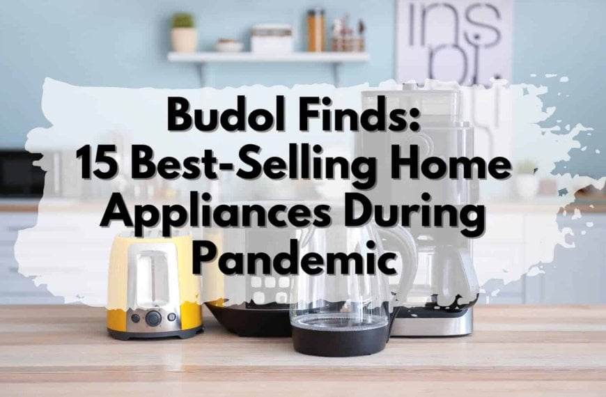 Budol Finds: 15 Best-Selling Home Appliances During Pandemic