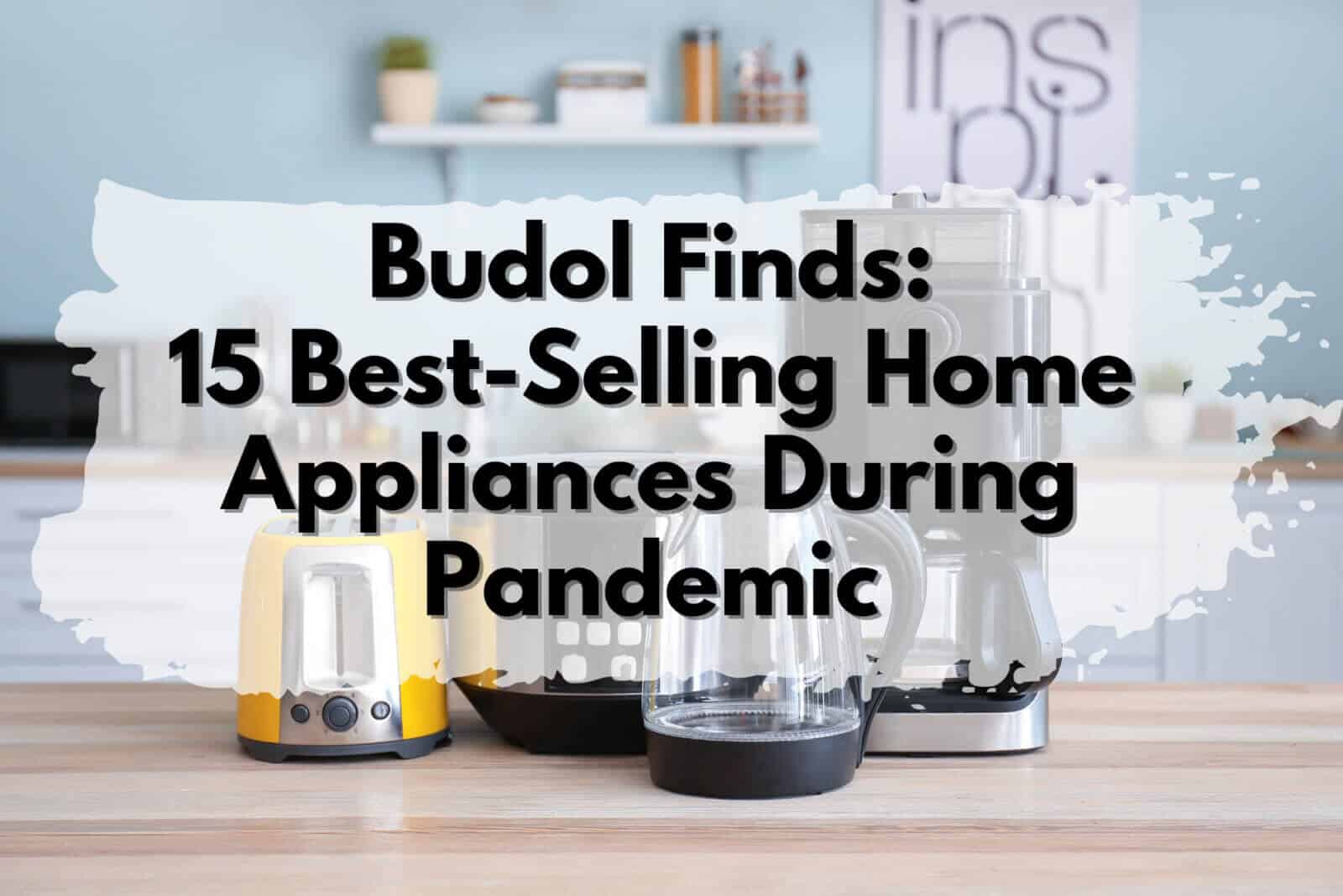 Budol Finds: 15 Best-Selling Home Appliances During Pandemic
