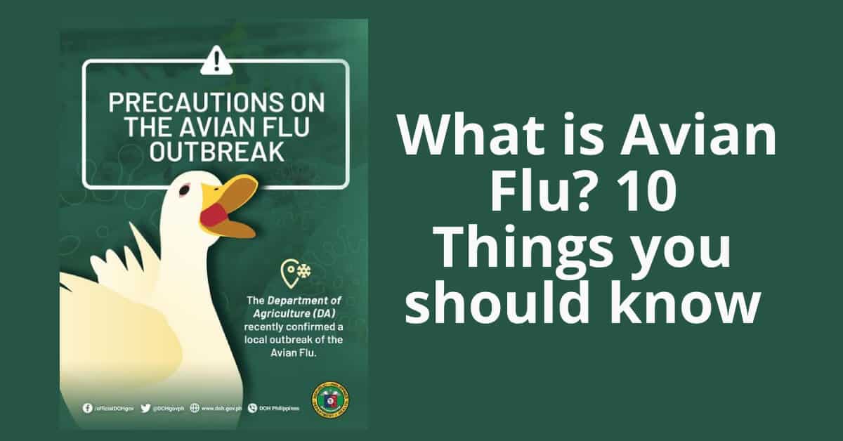 Book cover: Avian Flu Unveiled - Key Facts to Know