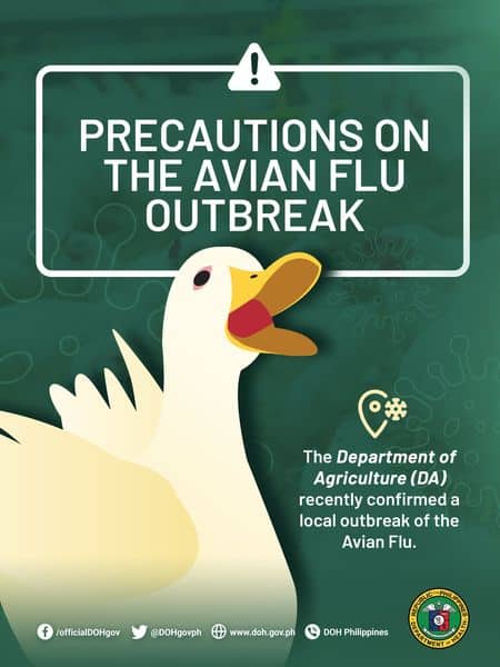 avian flu doh info