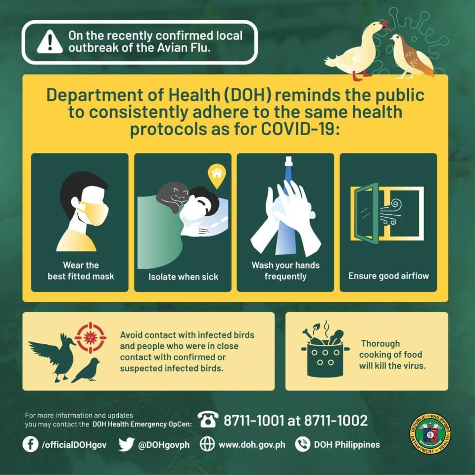 avian flu precaution