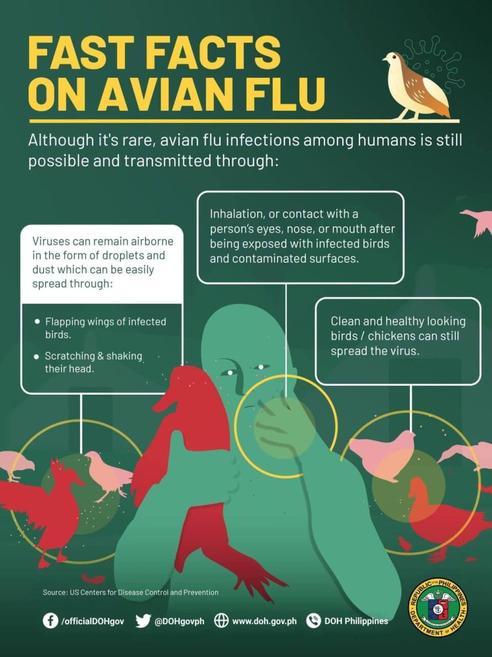 fast fact on avian flu doh