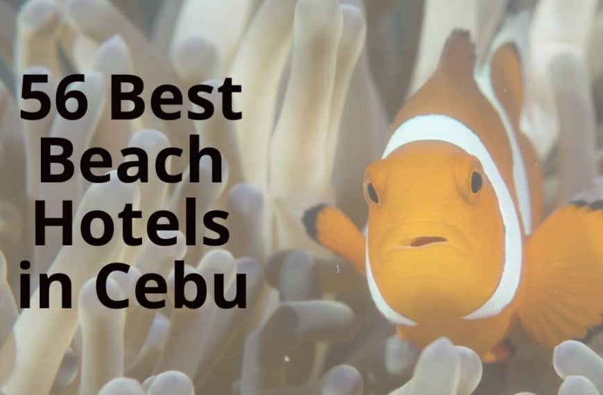 best beach hotels