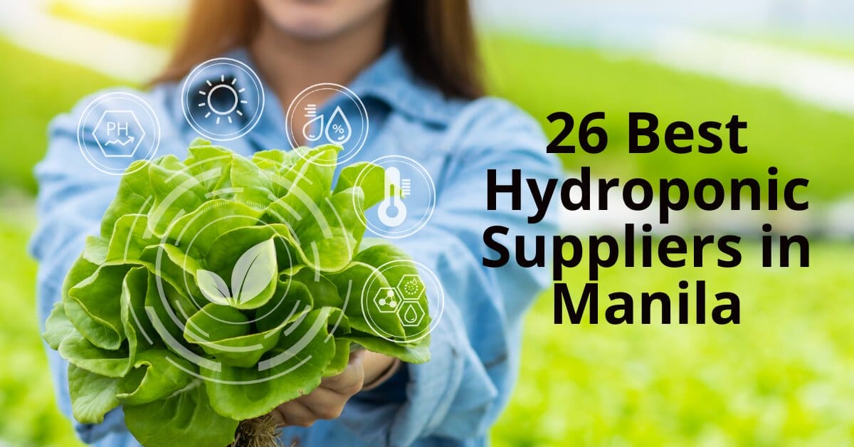 hydoponic suppliers