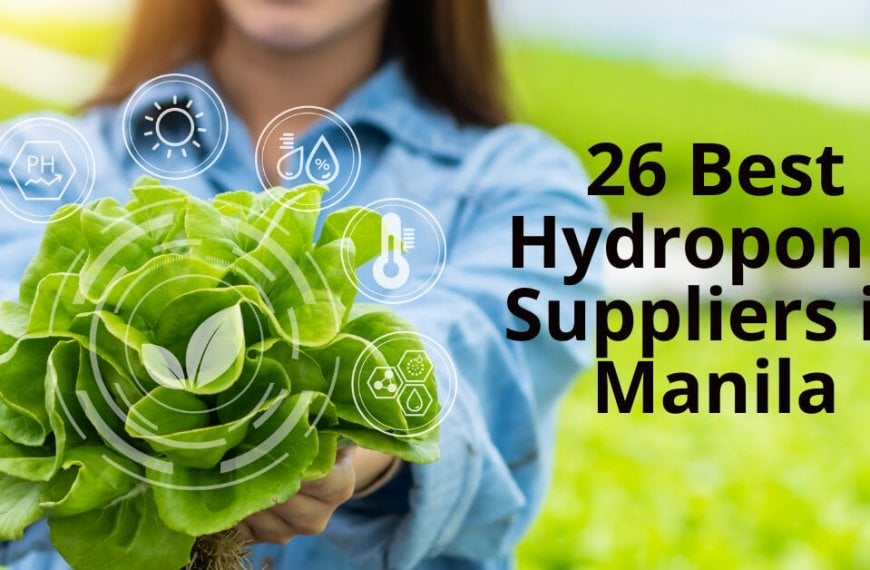 hydoponic suppliers