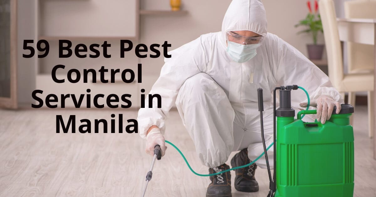 pest control services