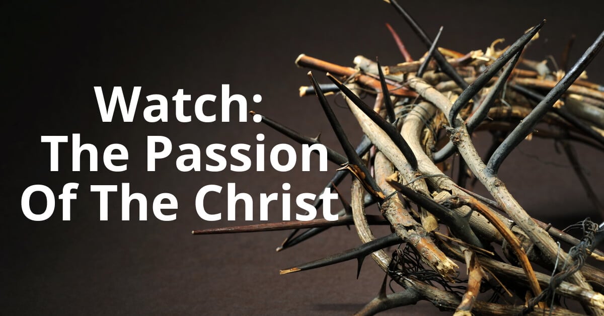 passion of christ 1
