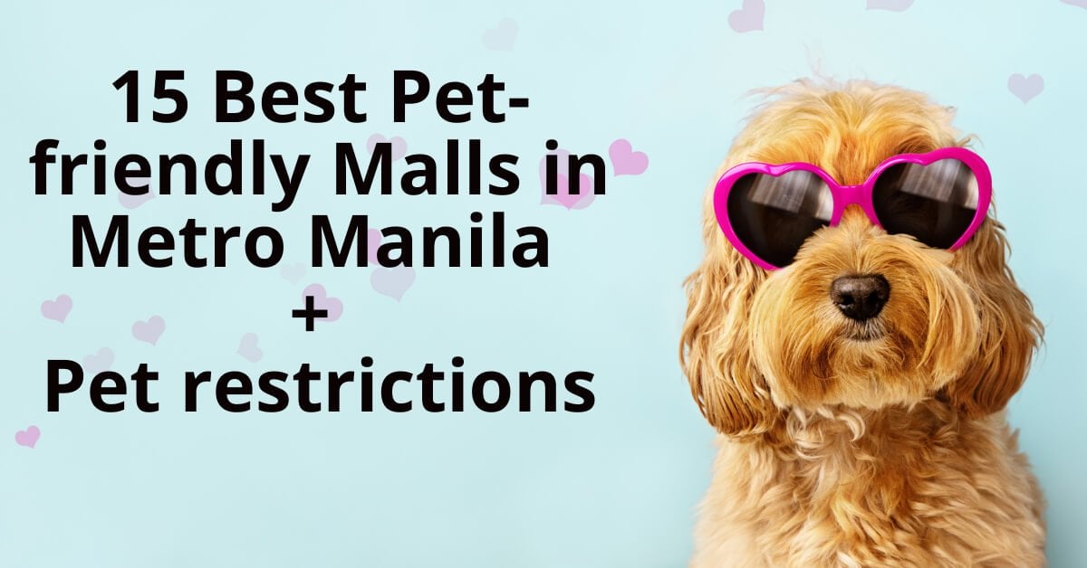 Dog-Friendly Mall