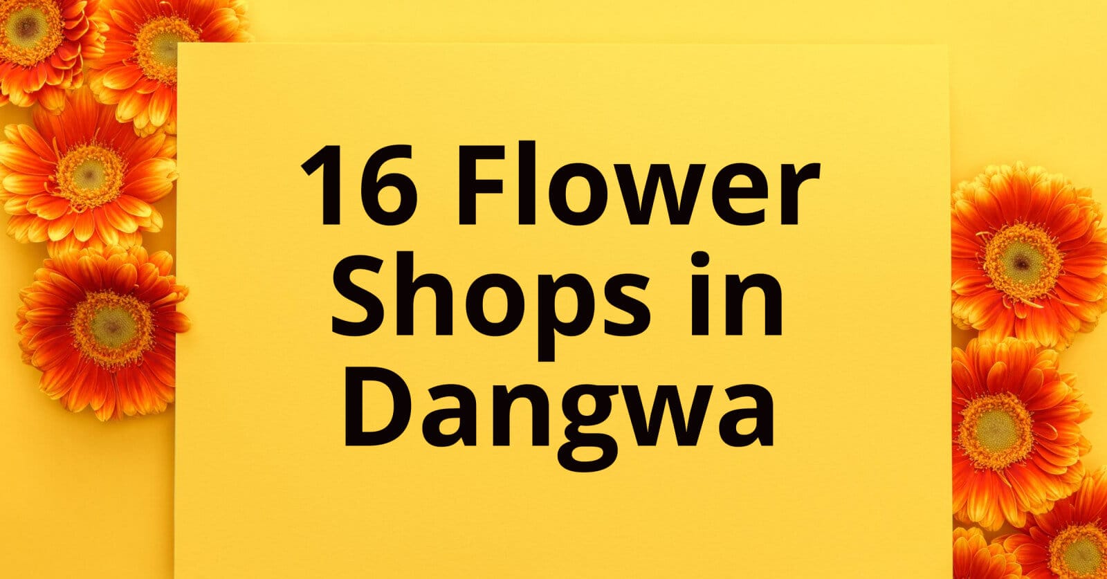 dangwa flowers