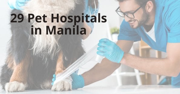 pet hospitals