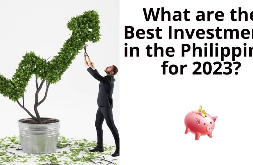 which investments in the philippines hold the greatest potential for success in 2020?