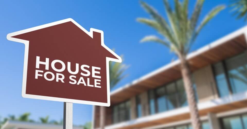 a palm tree with a house for sale sign.