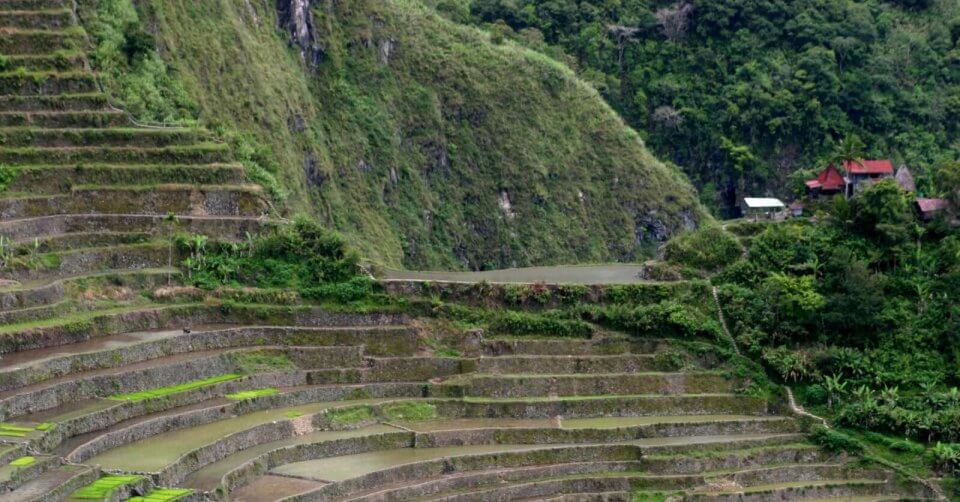 discover the breathtaking summer landscapes of the philippines with a visit to its iconic rice terraces. these stunning agricultural wonders are recognized as one of the "30 must visit destinations" in the country