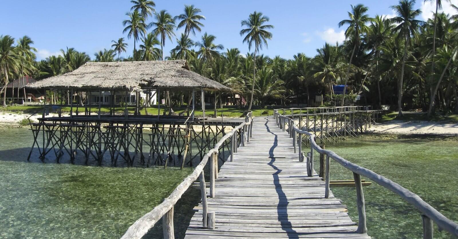Visit a wooden walkway leading to a thatched-roof structure on stilts amidst tropical palm trees at Siargao Resorts.