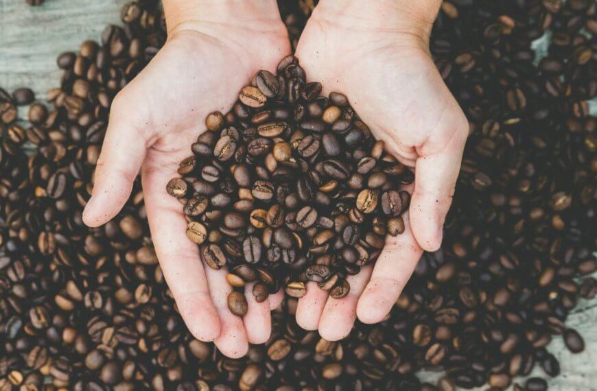 A pair of hands holding roasted coffee beans over a wooden surface covered with more Manila coffee beans, emphasizing abundance and nature's gift.