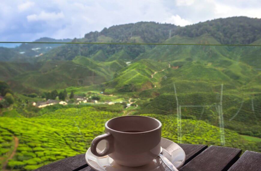 A white cup and saucer with a hot beverage sit on a wooden table in the foreground. The background reveals a breathtaking view of lush, green hills and valleys in Baguio under a partly cloudy sky, with a glass barrier providing an unobstructed scenic vista. It's truly a must-visit coffee shop experience.