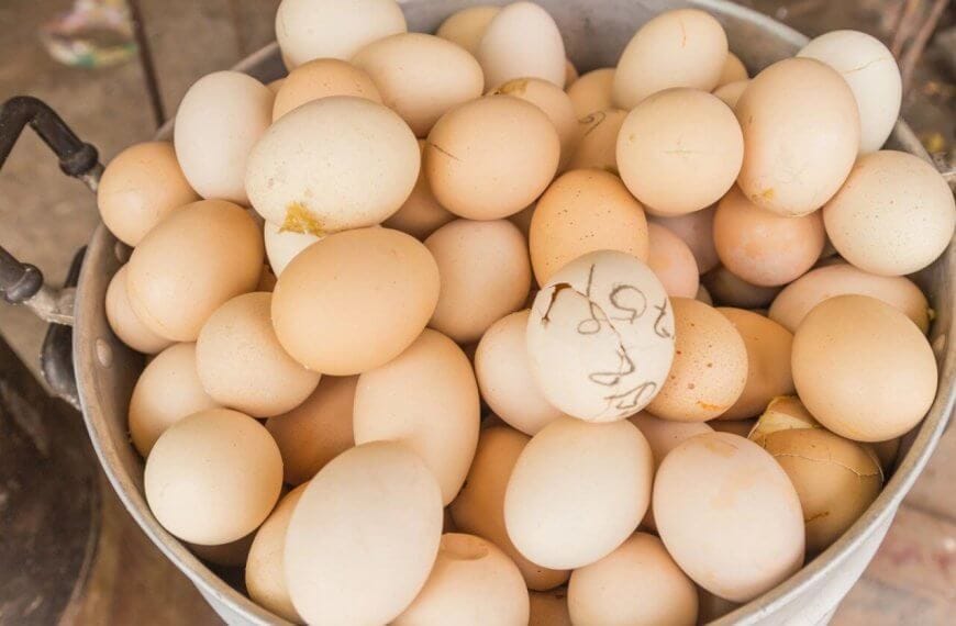 A large metal bucket filled with Balut, some bearing small dirt stains or marks on their shells. The bucket, featuring two handles on either side, rests on a rustic surface, evoking the setting of a farm or market – ideal for Balut suppliers in Metro Manila.