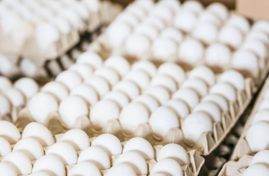 Multiple open cartons of white eggs are closely packed together, neatly organized in rows to create a repetitive pattern. The background is slightly blurred, focusing attention on the smooth, clean eggs arranged in stacks. Ideal for any wholesale egg supplier in Metro Manila.
