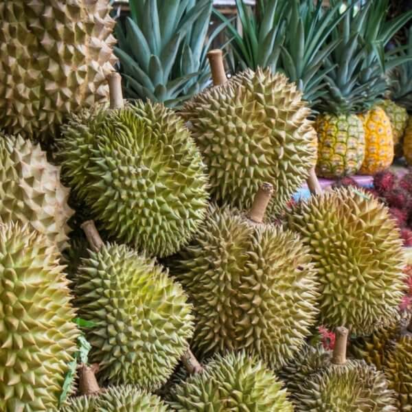 A market display in the Davao Region features a large pile of spiky durians in the foreground. Behind the durians are fresh pineapples with their green leaves. Further back, piles of red rambutan fruits with hairy exteriors add to the vibrant colors and textures, perfectly showcasing Region 11's tropical bounty.