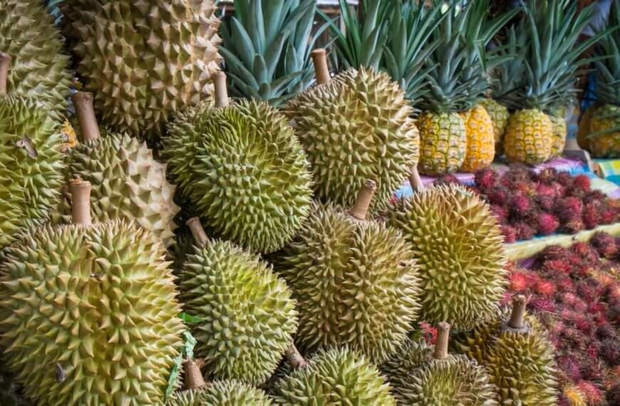 A market display in the Davao Region features a large pile of spiky durians in the foreground. Behind the durians are fresh pineapples with their green leaves. Further back, piles of red rambutan fruits with hairy exteriors add to the vibrant colors and textures, perfectly showcasing Region 11's tropical bounty.