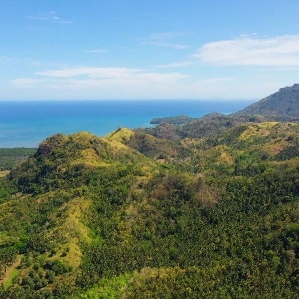 Aerial view of Northern Mindanao's lush, green hilly landscape stretching towards a calm, bright blue sea under a clear sky. Dense forests cover the hills, with patches of fields and sparse trees. In the distance, low-lying lands extend to the shoreline, with mountains visible on the horizon.