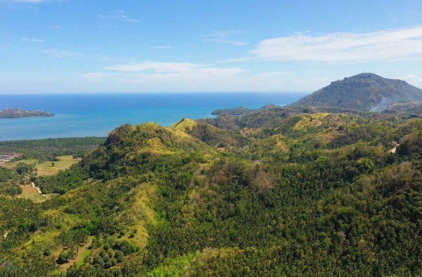 Aerial view of Northern Mindanao's lush, green hilly landscape stretching towards a calm, bright blue sea under a clear sky. Dense forests cover the hills, with patches of fields and sparse trees. In the distance, low-lying lands extend to the shoreline, with mountains visible on the horizon.