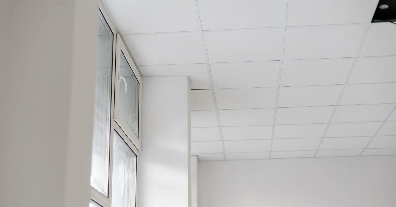 The white room features a grid-patterned drop ceiling with high-quality ceiling tiles, and large windows on the left side let in natural light.